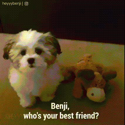 Who's your best friend?