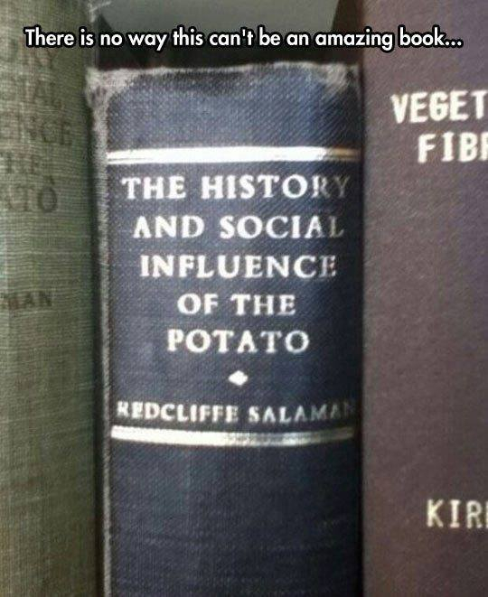 My life is potato