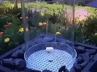Fontaine vortex