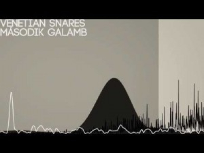 [Breakcore/IDM] Venetian Snares - Második Galamb