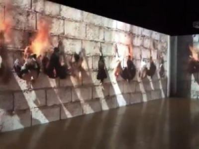 Lyon : une vidéo de poulets brûlés vifs choque les défenseurs des animaux