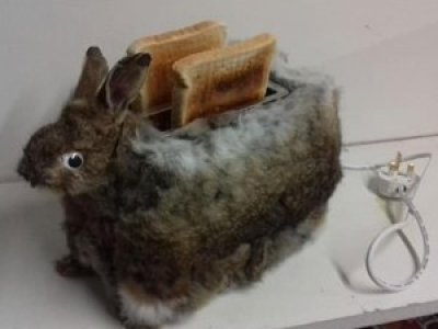 Il crée un grille pain avec un lapin ! 