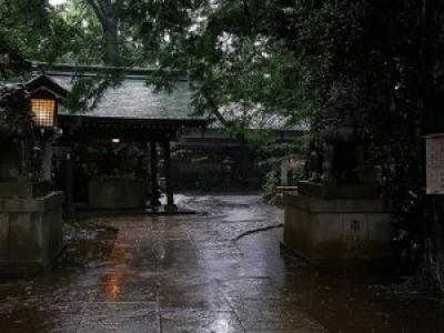 Pluie d'été à Okusawa, Tokyo (cinemagraphe)