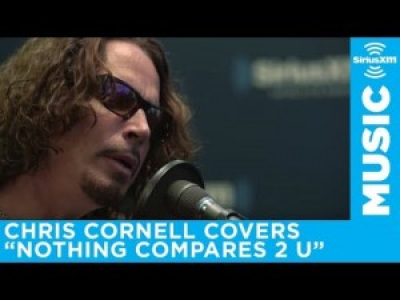 Chris Cornell - Nothing compares 2 u (cover)