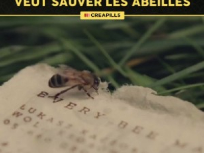 Ce papier spécial lutte contre l'extinction des abeilles