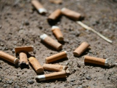 La ville de Strasbourg interdit la cigarette dans les parcs et jardins publics