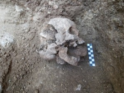 Le squelette d'un enfant de 10 ans victime d'un «enterrement vampire» découvert 