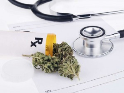 Aucune raison de s'opposer au cannabis thérapeutique pour le Comité éthique et cancer