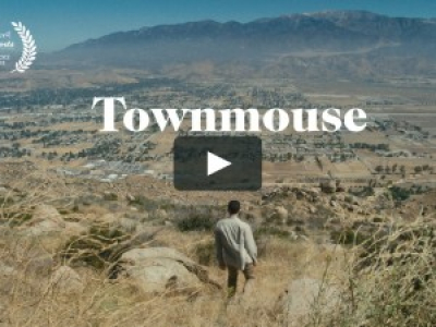 Townmouse