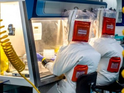 Des échantillons de sang contaminé par Ebola dans la nature ?