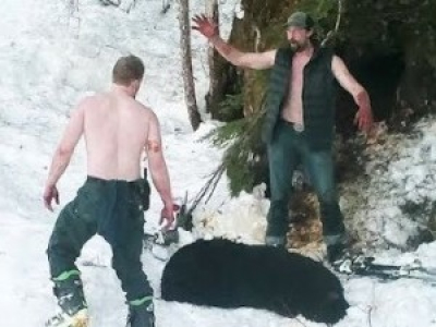 Des braconniers tuent une ourse et ses petits en hivernation