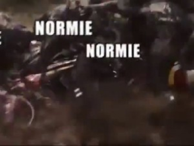 FIghtback the normies