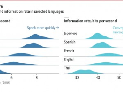 Transmission des informations selon les langues