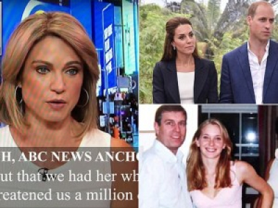 ABC accusé d'avoir empéché la diffusion d'une interview d'une esclave d'Epstein en 2015