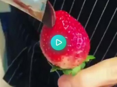 Une rose fraise-chocolat