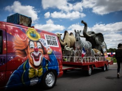 Paris refuse les cirques avec ménagerie