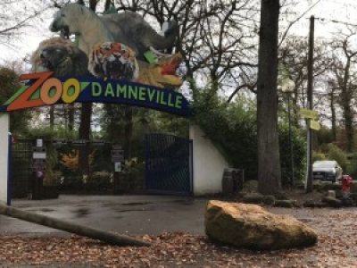 Fichage, vidanges sauvages, animaux enterrés : enquête sur les pratiques pas très nettes du zoo d’Amnéville