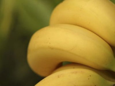 Banane scotchée à un mur vendu 120 000