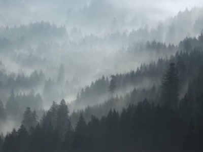 Misty Mountains 