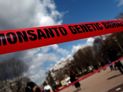 Monsanto va lancer deux nouveaux cancers avant la fin de l’année