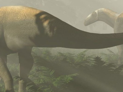 Le raptor australien se révèle être un dinosaure herbivore