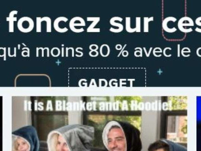 Wish, le site de vente en ligne, va disparaître des moteurs de recherche en France