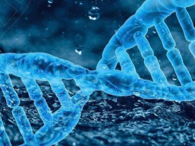 Des chercheurs séquencent le génome humain à une vitesse record.