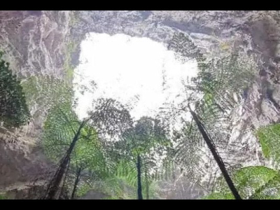 Chine : un gouffre géant découvert abritant une forêt primaire