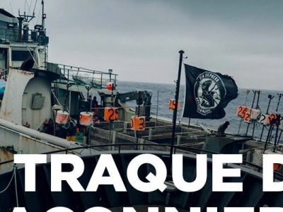 Sea Shepherd à la poursuite du Thunder | Les justiciers des océans | ARTE