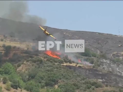 Un avion bombardier d'eau s'écrase sur l’île d’Eubée, au Nord Est d’Athenes alors qu'il lutte contre les incendies.