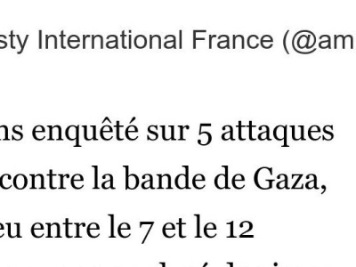 Amnesty International France annonce avoir récolté des preuves accablantes de crimes de Guerre lors d'attaques d'Israël sur la Bande de Gaza.