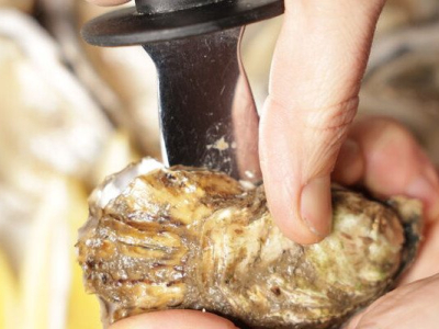 Pour celui qui était malade avec les huîtres : Les huîtres du bassin d’Arcachon interdites à la vente après des intoxications