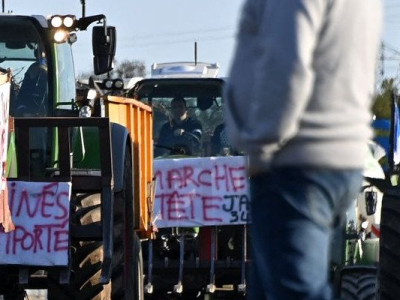 Colère des agriculteurs : plus de 50 organisations écologistes appellent à rejoindre les mobilisations