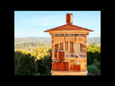 FLOW HIVE - La ruche automatique