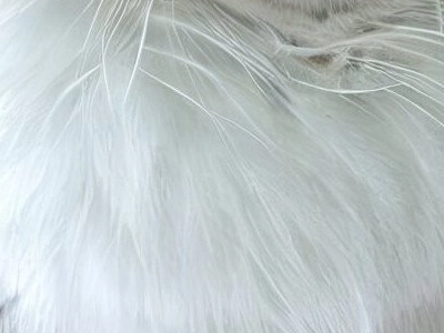 Insolite : Quand la diététicienne se moque des « petits gros »