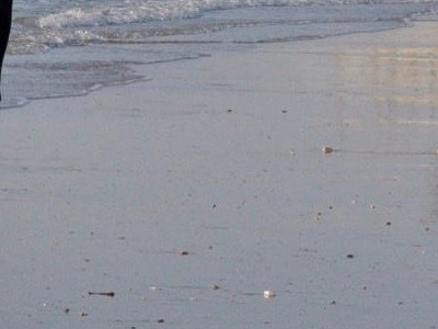 Marco Mouly, le roi de l'arnaque à la TVA et la taxe carbone, a été arrêté à Rome.