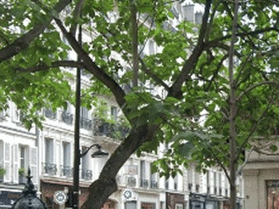 Une pétition contre l'ouverture d'une supérette Carrefour City à Paris, signée par des célébrités.