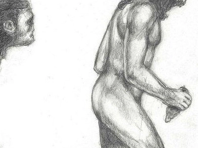 Le mâle alpha est-il un mythe?